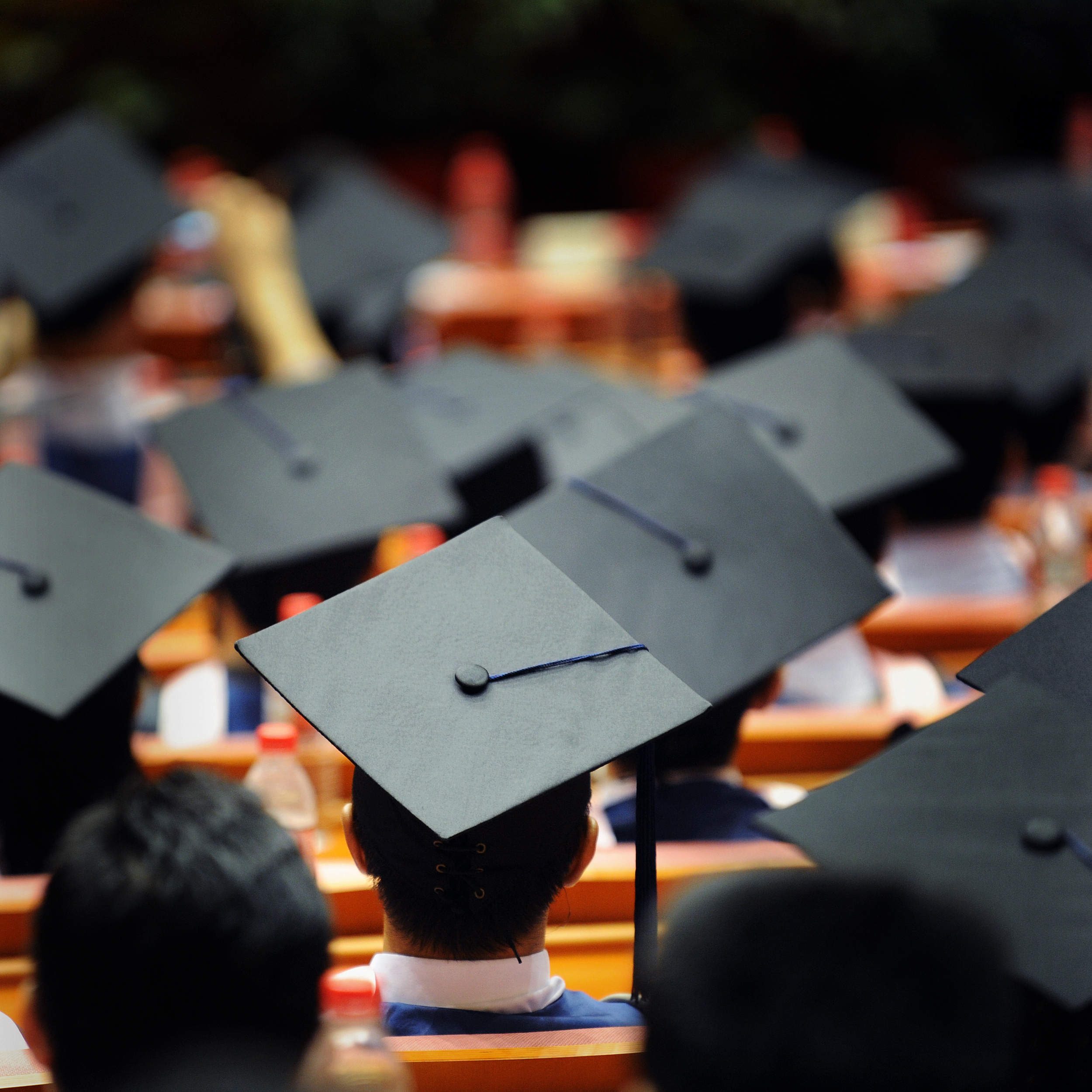 Oriel Admissions Provides Premium College Counseling for Elite Admissions