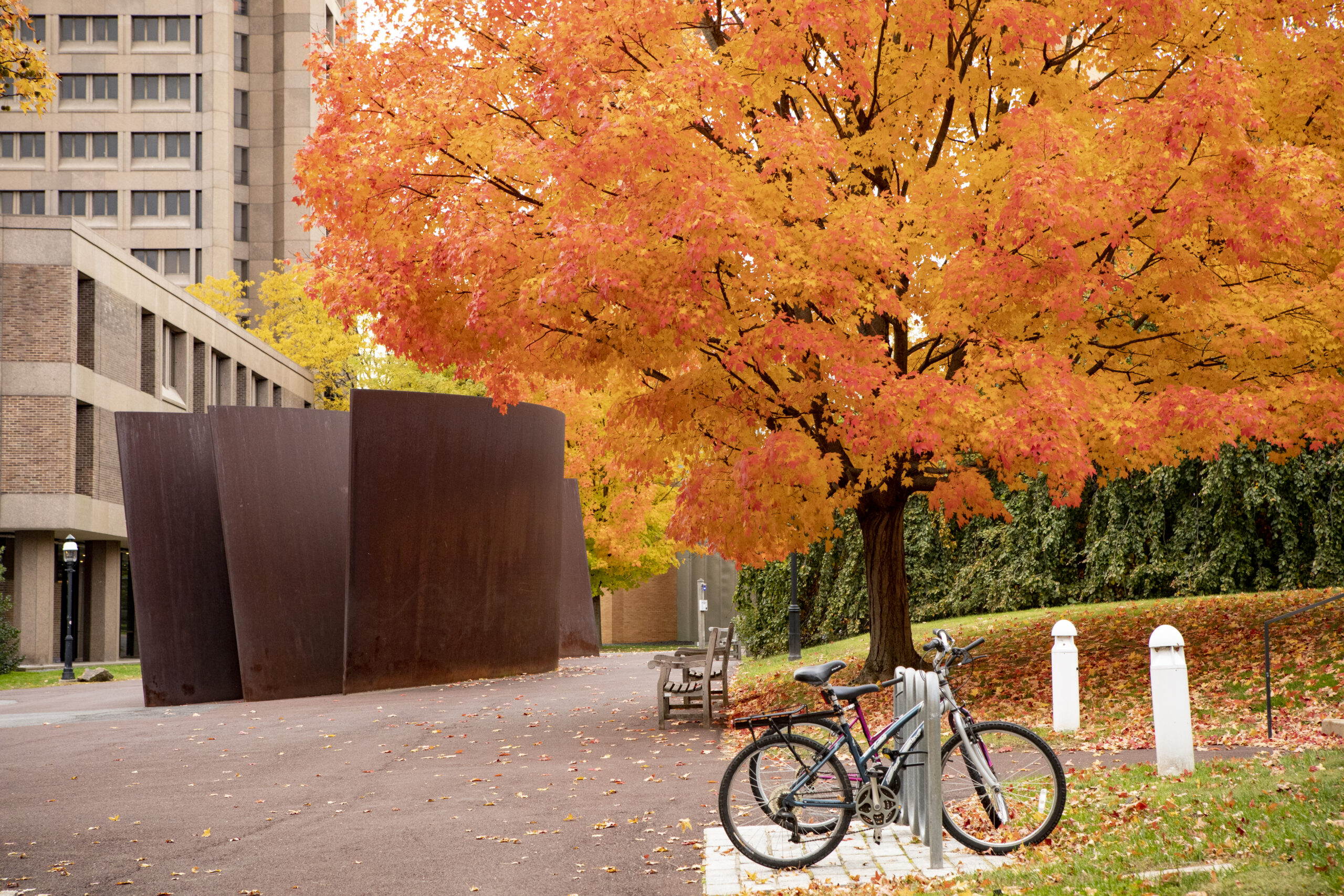 Richard Serra Hedgehog and the Fox sculpture - Bergen County families admissions guide