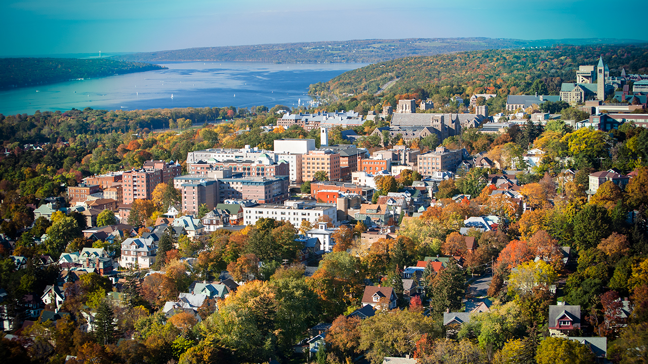 Cornell University campus and admissions strategy