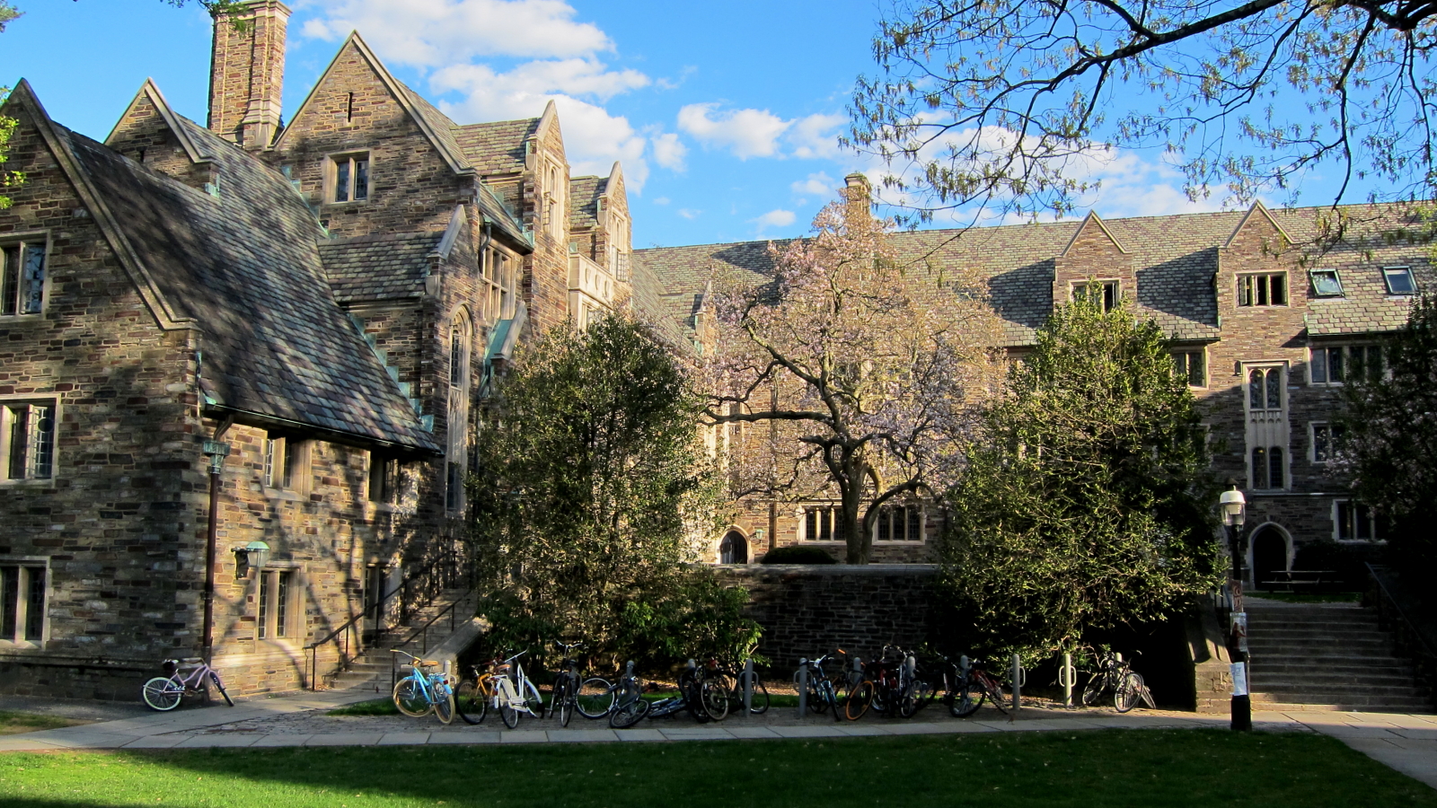 Princeton University campus courtyard and Gothic architecture