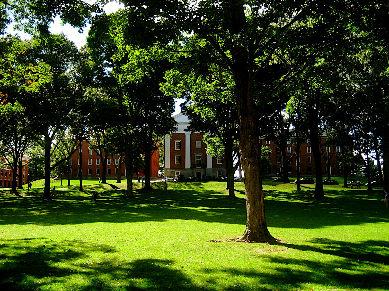 Main Quad at Amherst College representing the complete admissions guide to Amherst College, one of the most selective liberal arts colleges in the United States with a 7.4% acceptance rate for the Class of 2029.