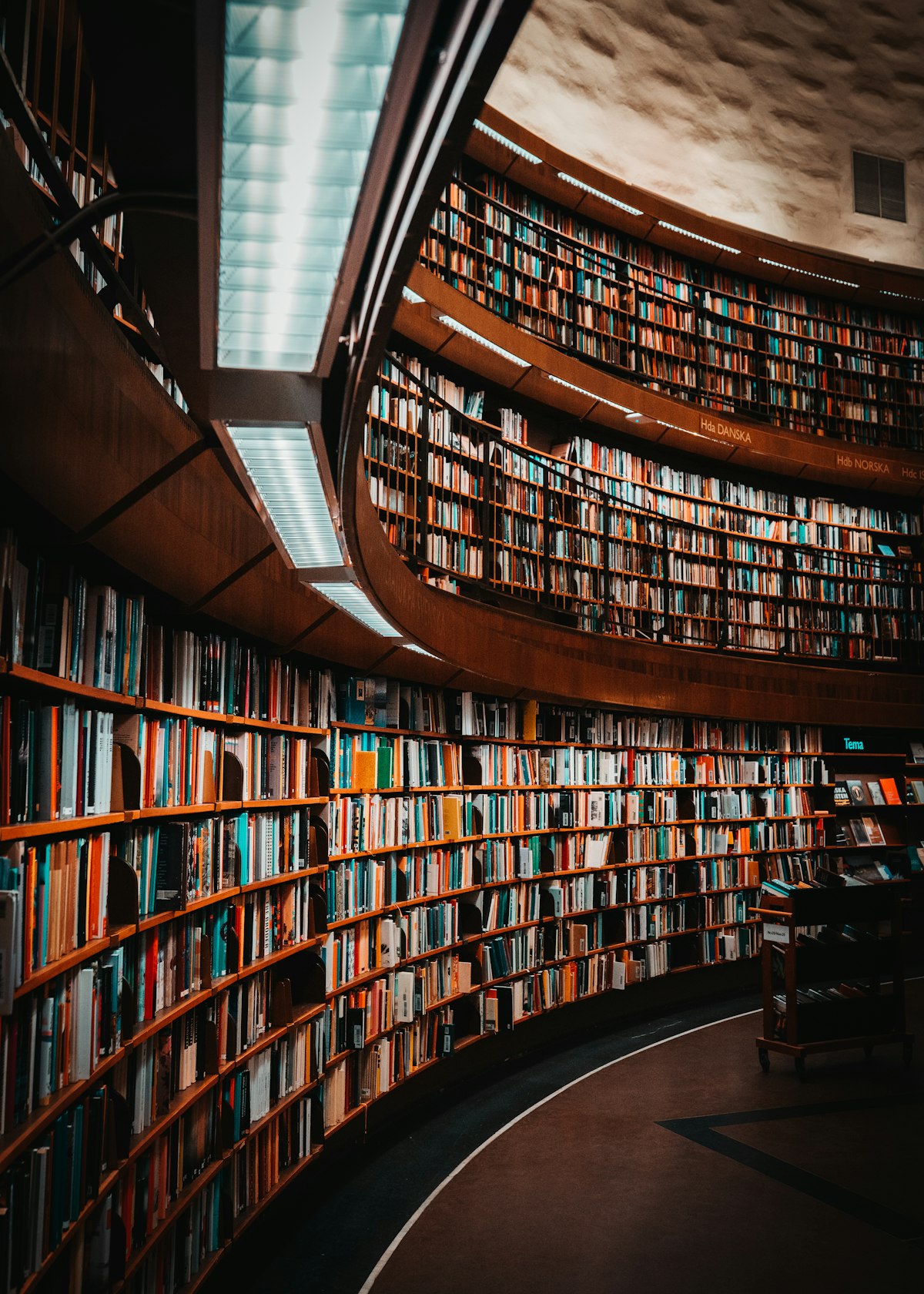 College library representing likely letters in Ivy League admissions 2026