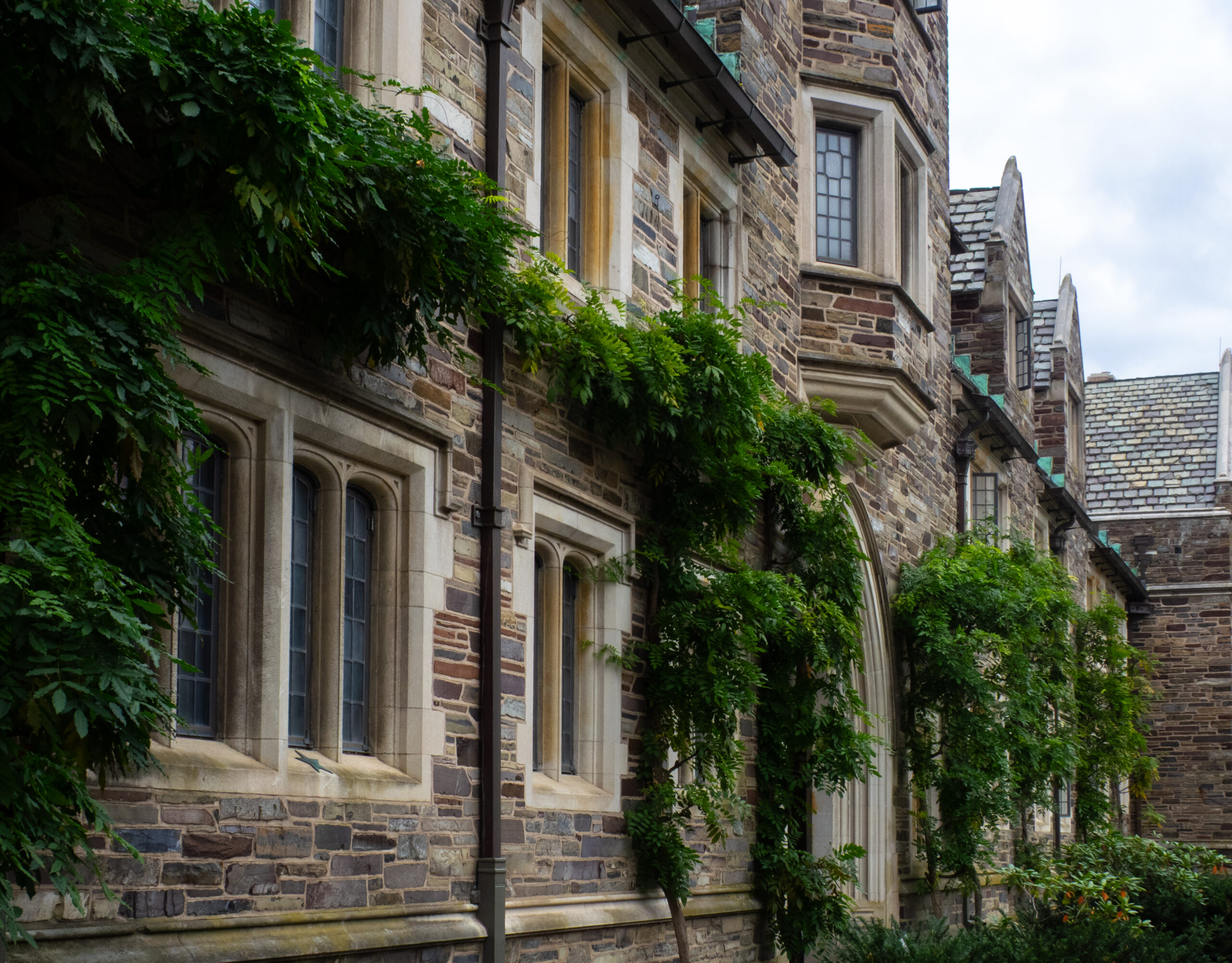 Princeton University campus building - representing homeschool transcript review at elite admissions