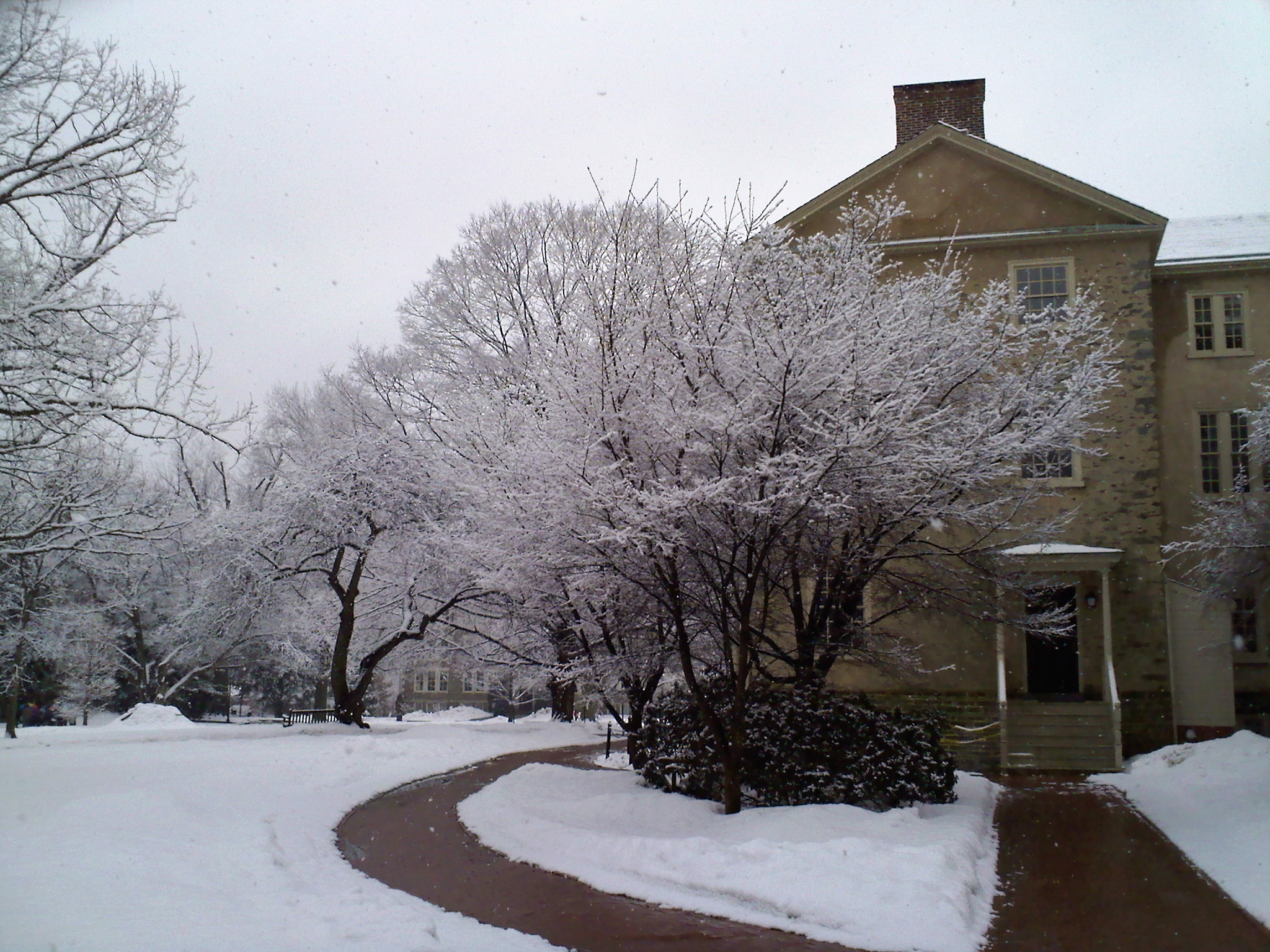 Cherry trees in bloom around Founders Hall at Haverford College in Haverford, Pennsylvania