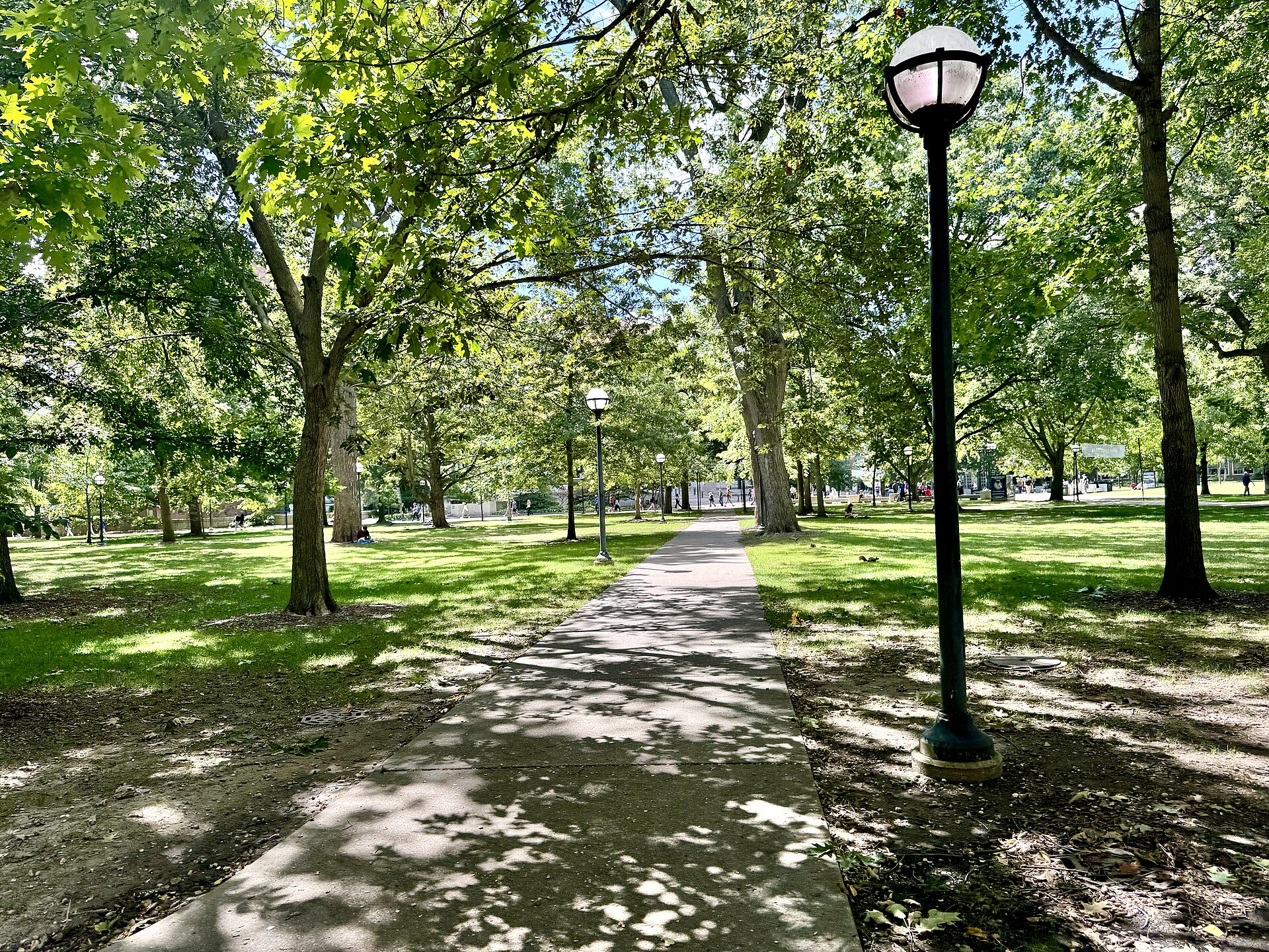 University of Michigan campus in Ann Arbor