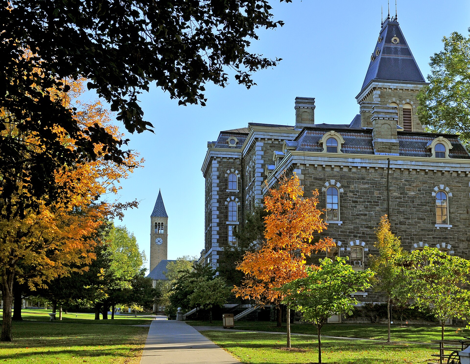 A college campus, illustrating what counts as an extracurricular for selective college admissions