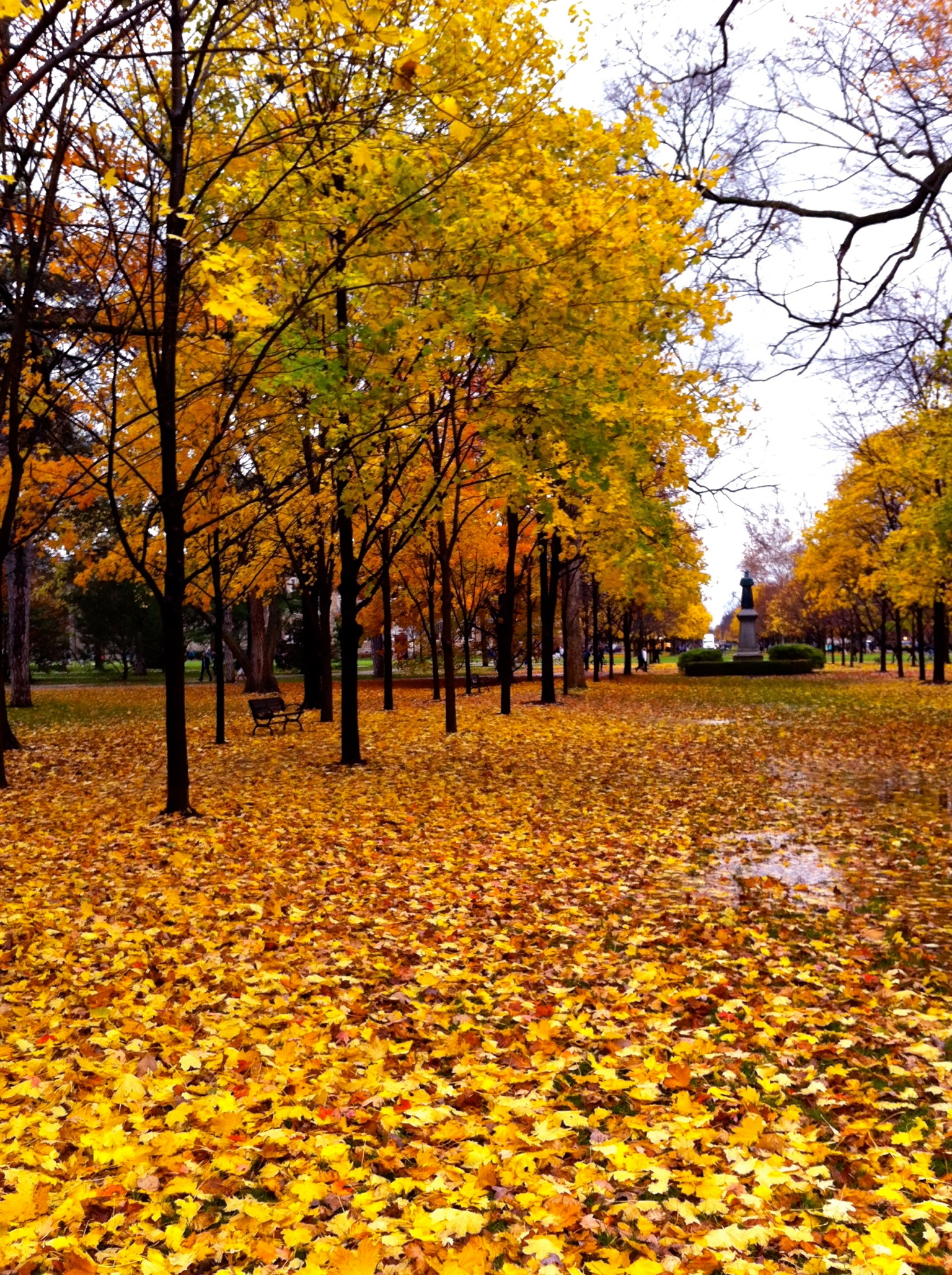 College campus quad in autumn