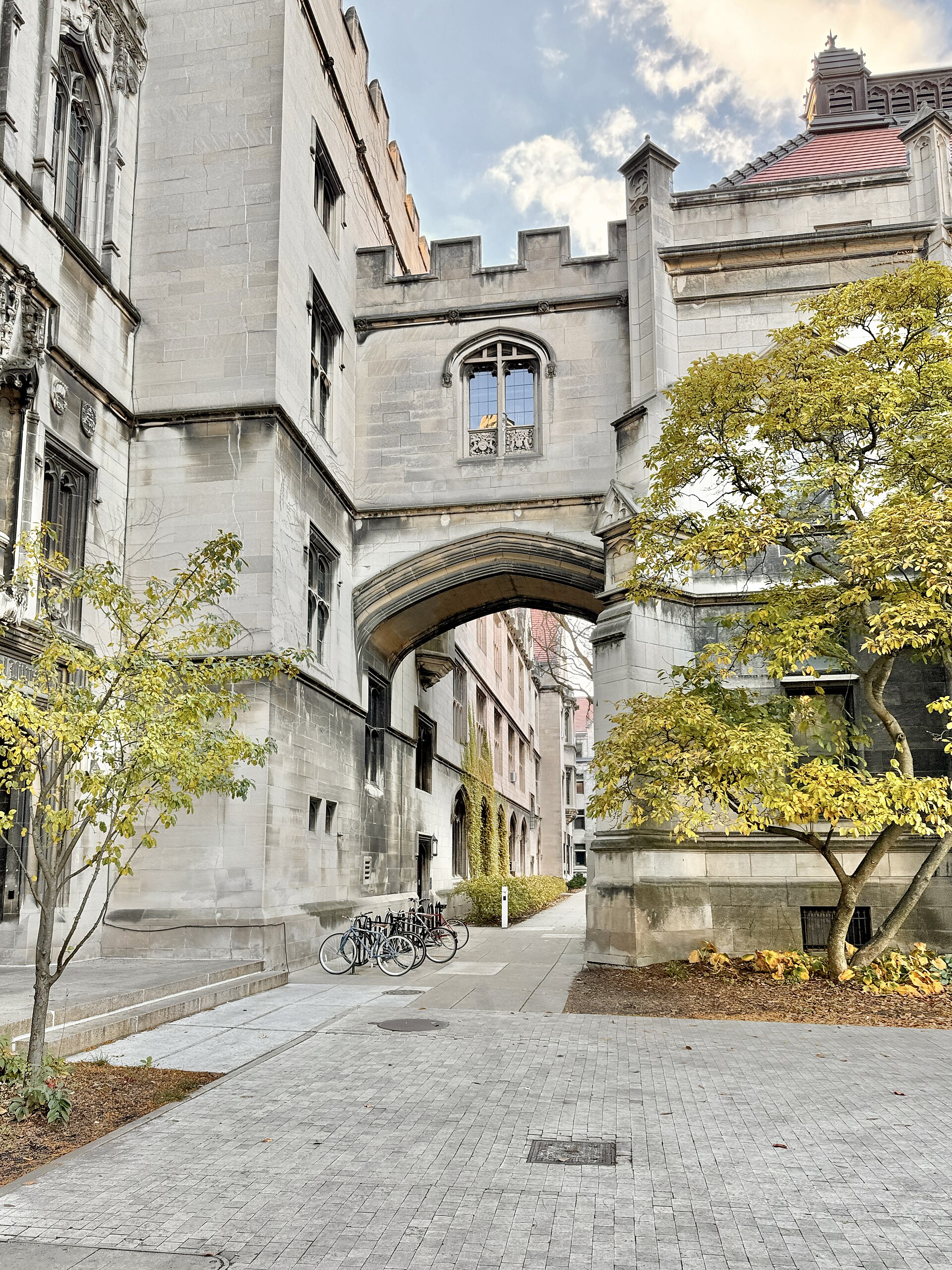 Harper Memorial Library, University of Chicago