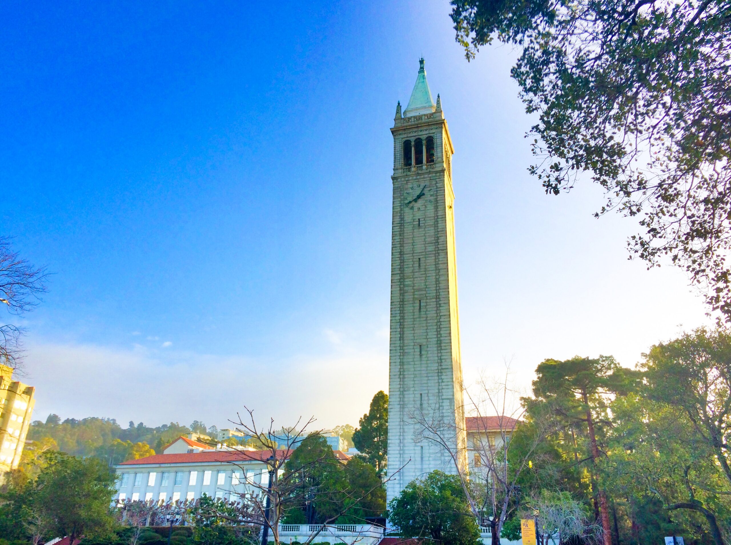 Sather Tower, the Campanile at the University of California, Berkeley, against a blue sky