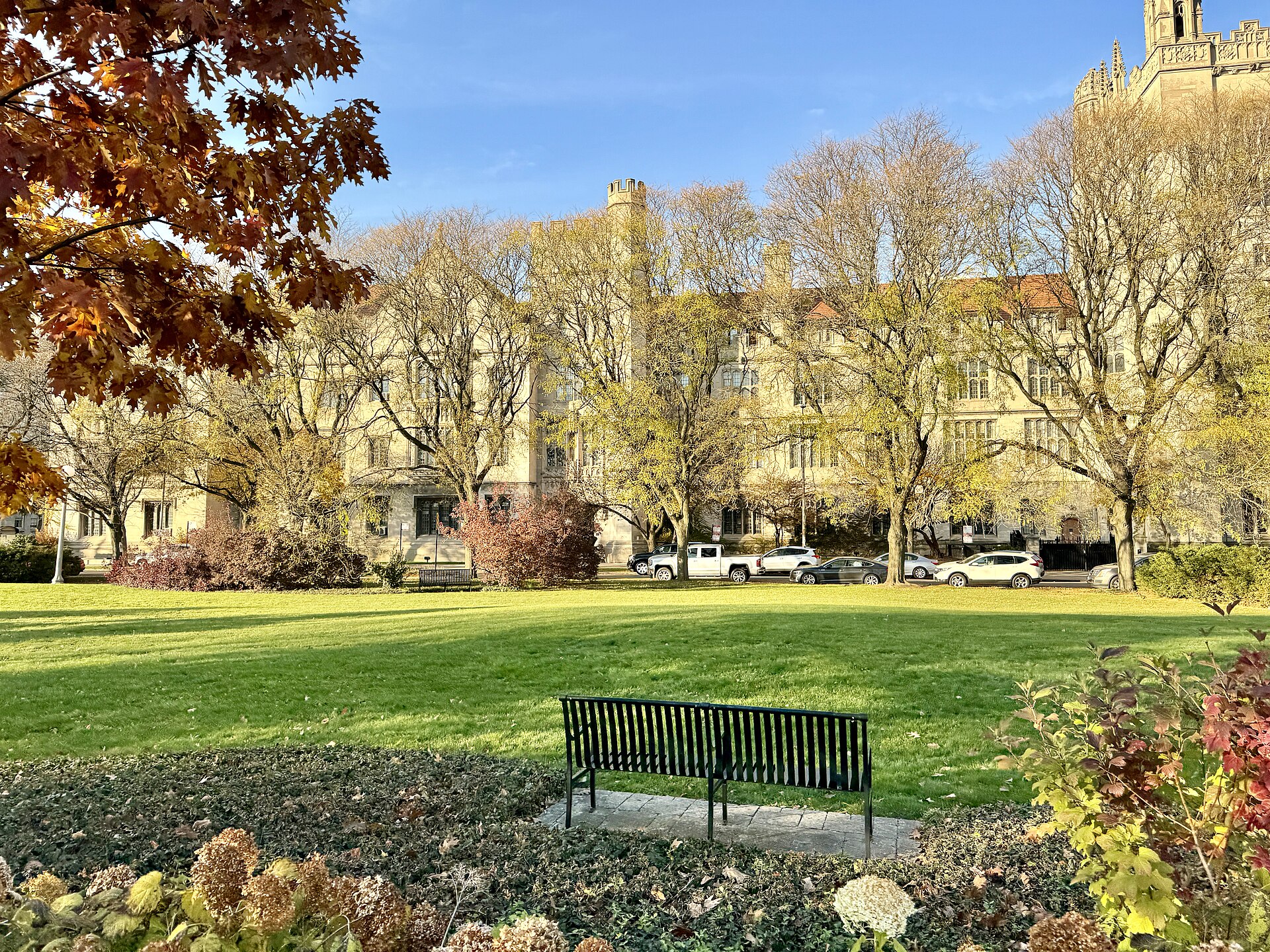 The UChicago campus - a look at what UChicago is known for