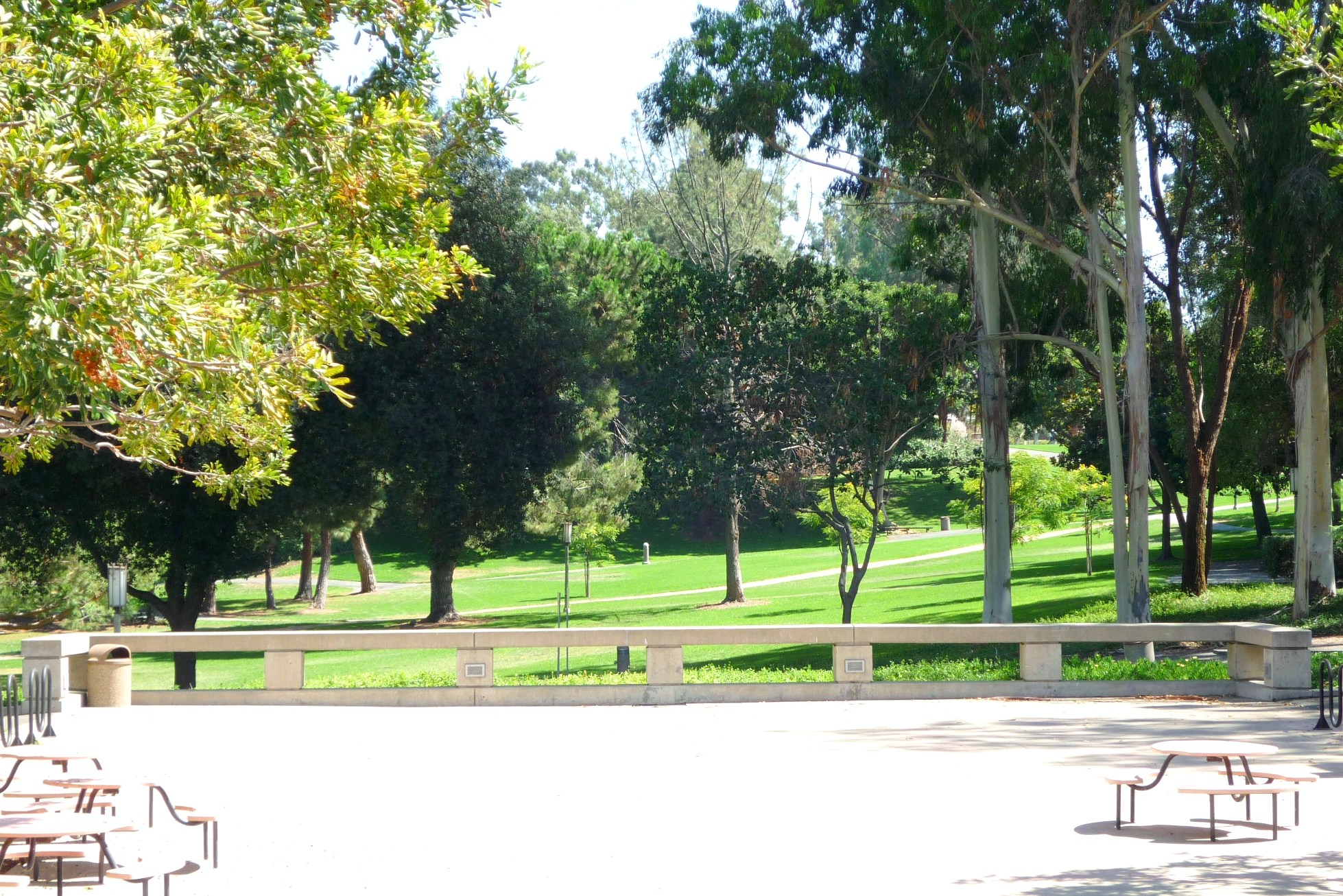 Aldrich Park at the center of the UC Irvine campus