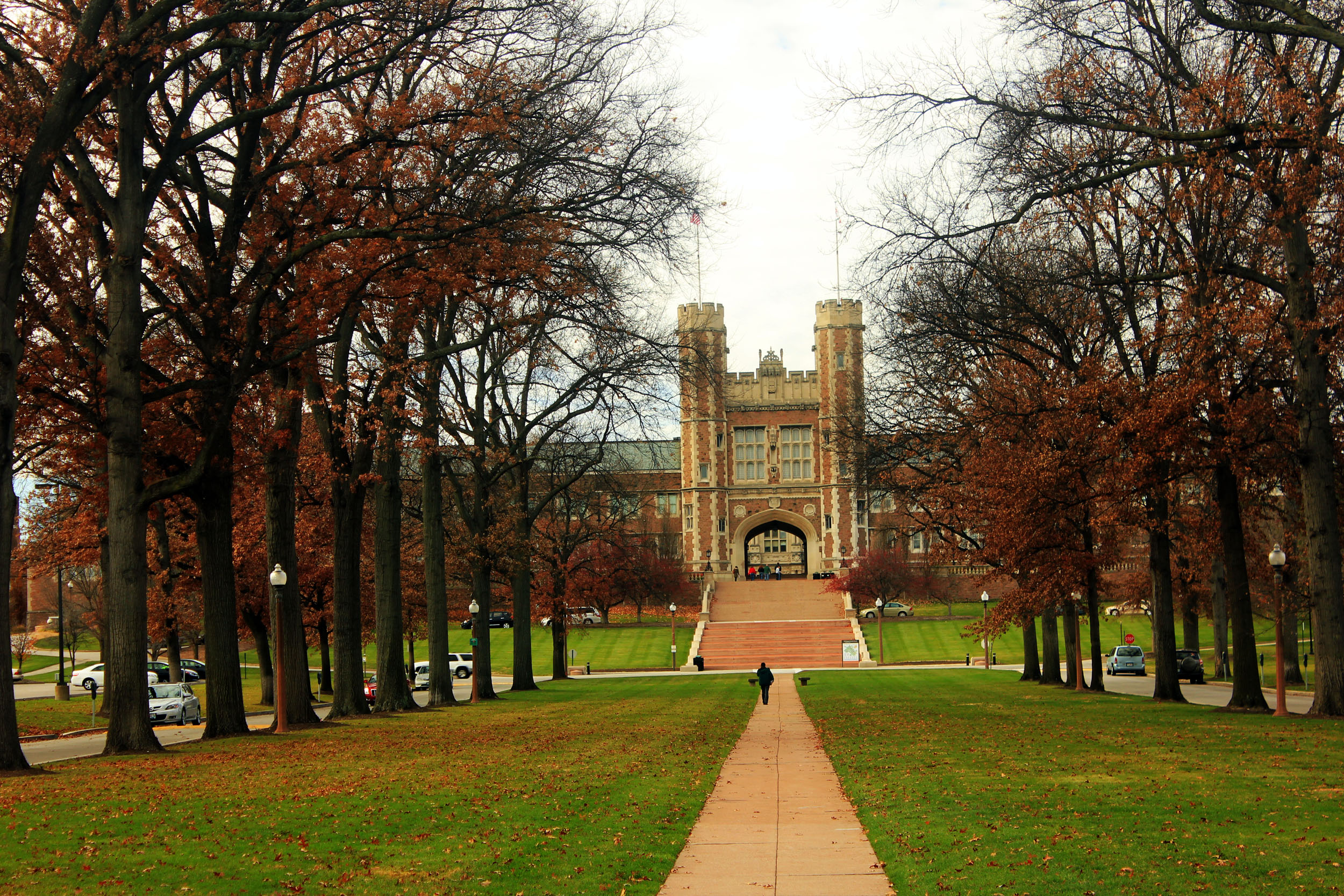 Brookings Hall at Washington University in St. Louis viewed along the tree lined path from Forest Park