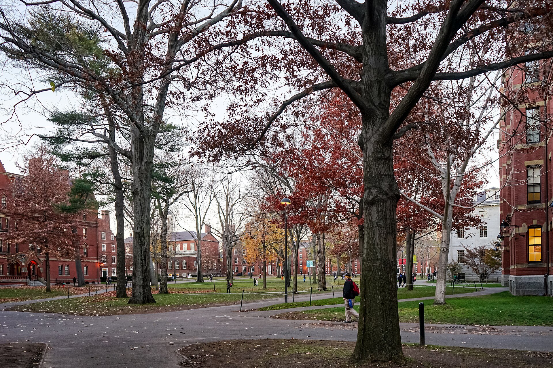 Trees with red and orange autumn leaves above the lawns and paths of Harvard Yard at Harvard University